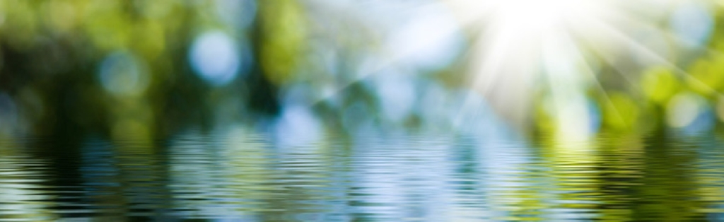 Ein verschwommenes Bild von Wasser mit grünem Gras und Sonnenstrahlen.