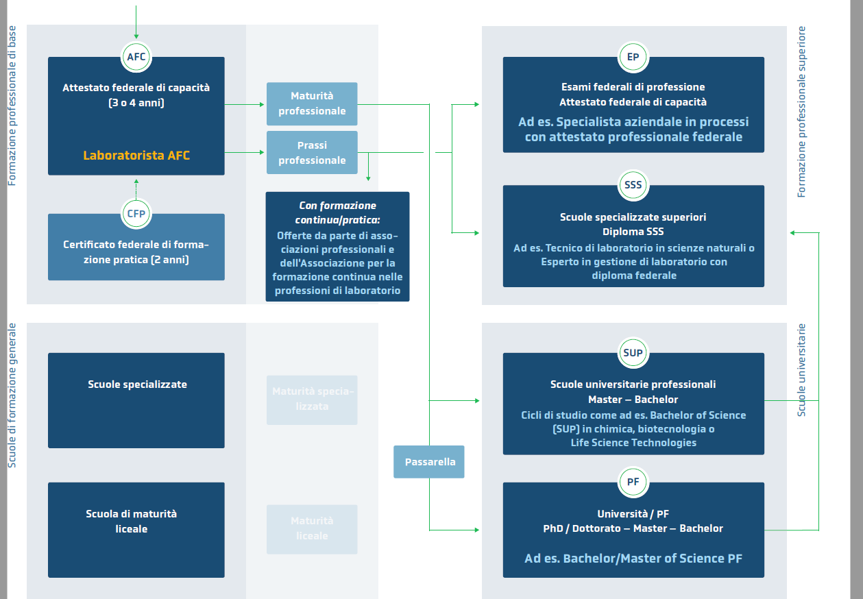 Ein Diagramm eines Geschäftsprozesses.